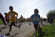 lauf1-241
