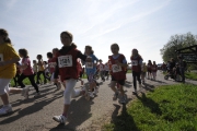lauf1-248