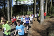 bilder-3-525