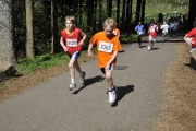 bilder-3-554