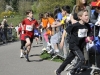 bilder-3-775