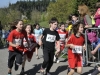 bilder-3-804