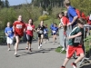 bilder-3-979